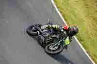 Middle Group Black Bikes